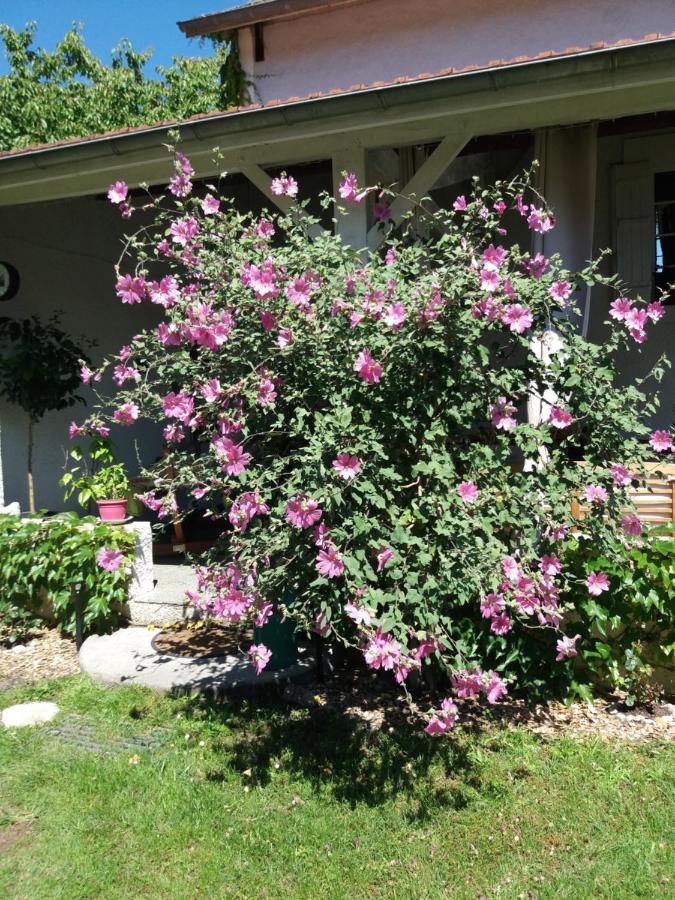 Les Eygletieres Bed and Breakfast Bourriot-Bergonce Εξωτερικό φωτογραφία