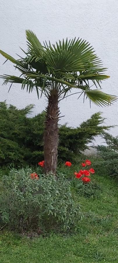 Les Eygletieres Bed and Breakfast Bourriot-Bergonce Εξωτερικό φωτογραφία