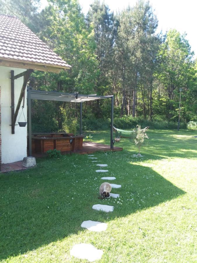 Les Eygletieres Bed and Breakfast Bourriot-Bergonce Εξωτερικό φωτογραφία