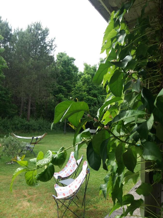 Les Eygletieres Bed and Breakfast Bourriot-Bergonce Εξωτερικό φωτογραφία